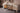 Clara Dining Room Set - Ider Furniture London - View 15