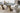 Madrid Dining Room Set - Ider Furniture London - View 7