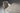 Paris Ceramic Dining Table - Ider Furniture London - View 2