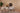 Pier Dining Room Set - Ider Furniture London - View 2