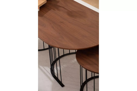 Ripa Coffee Table 2 - Ider Furniture
