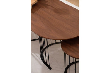 Ripa Coffee Table - Walnut - Ider Furniture