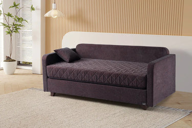 The Sofa Bed