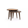 Supra Nesting Tables - Ider Furniture