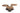 Trio Coffee Table - Ider Furniture