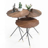 Kiev Nesting Coffee Table - Ider Furniture