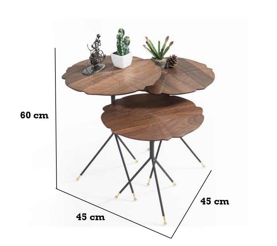 Kiev Nesting Coffee Table - Ider Furniture